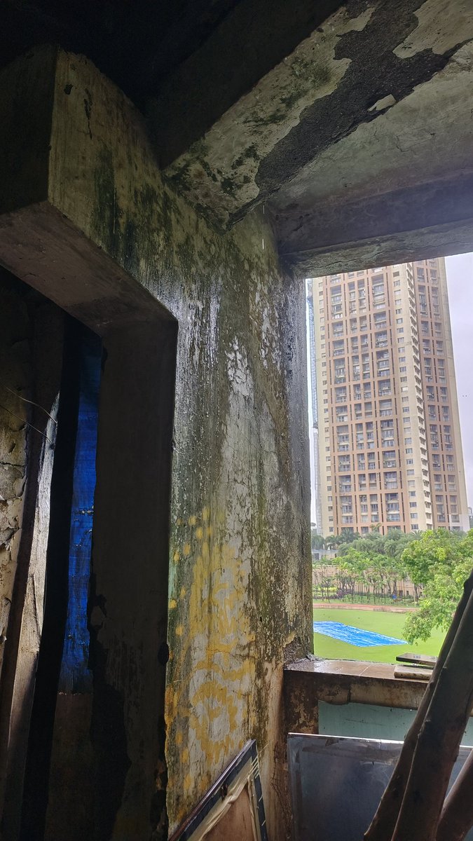 vabhi102's tweet photo. Thanking you.
Yours faithfully,
All Residents and Tenants of
Topiwala Building
Address: Dr. Babasaheb Ambedkar Road, Parel Mumbai - 400012
Enclosures:
Photographs and videos of the building
#Redevelopment #UnsafeBuilding #DangerousBuilding #GovtActionNeeded #SafetyFirst #Mumbai https://t.co/XD7G8q44Gr
