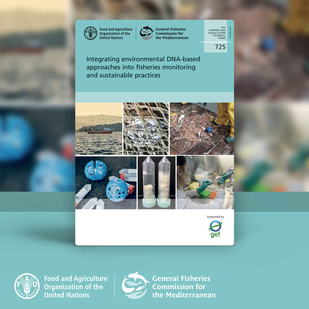 UN_FAO_GFCM's tweet photo. Effective fisheries management starts with reliable data

🧬eDNA-based approaches could complement traditional monitoring methods, expanding our monitoring toolbox &amp; helping generate evidence for #SustainableFisheries

📖: https://t.co/8yXUtVE6Yv

Supported by @theGEF #FishEBM https://t.co/Ga9H1yXuB5