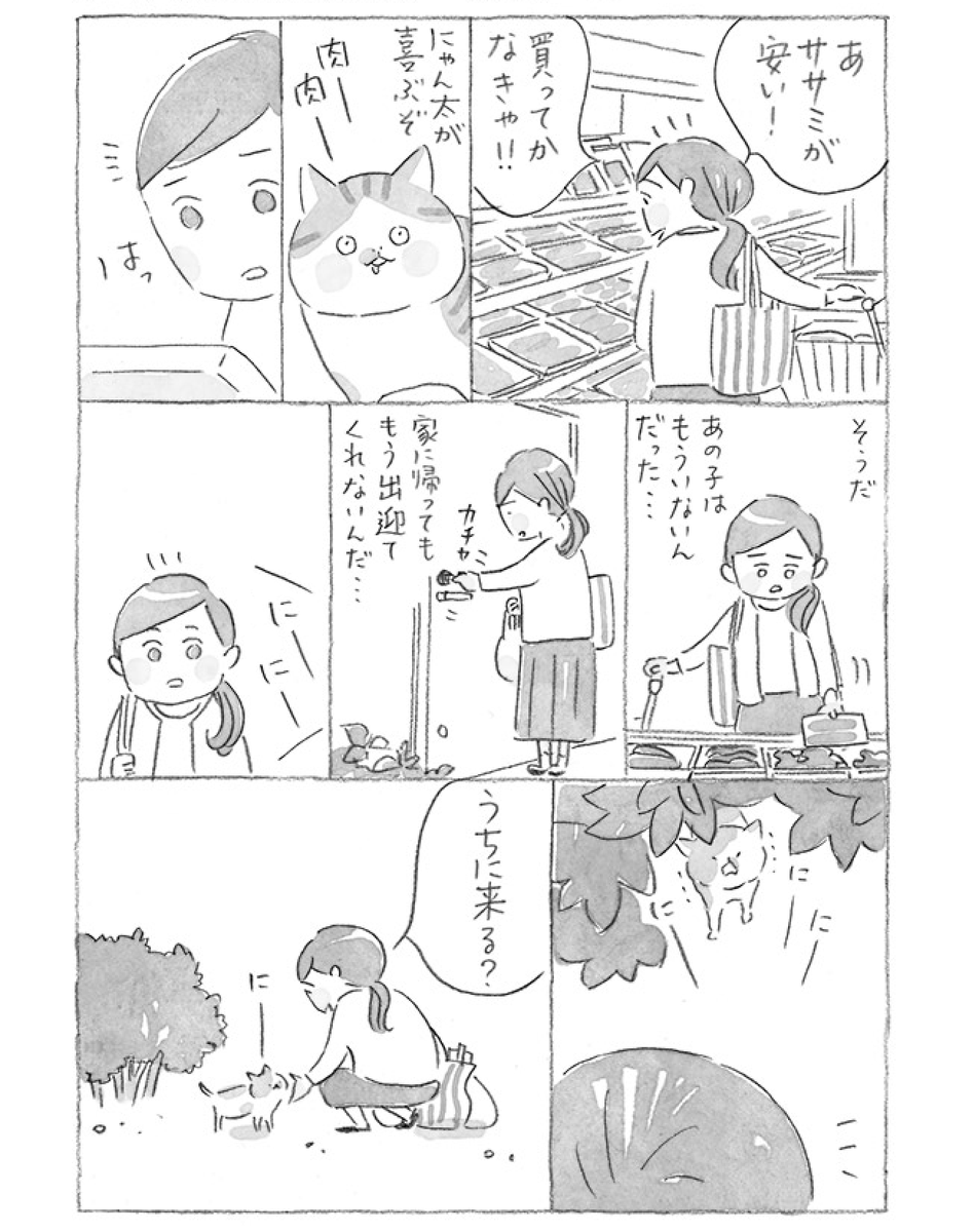 nyanta_mikan's tweet photo. https://t.co/kGwcIZpWR8