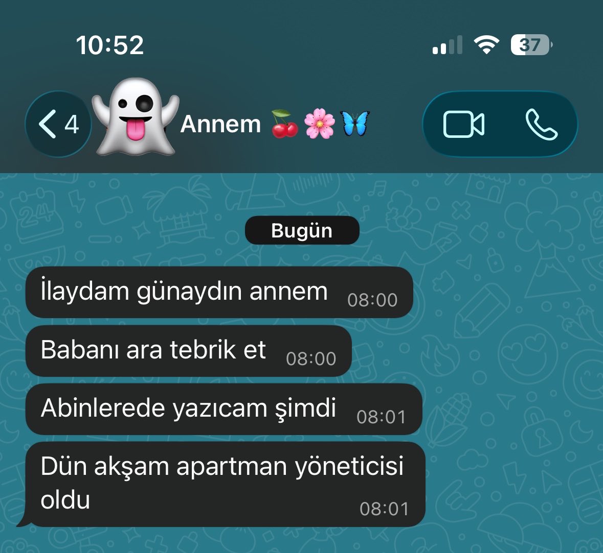 İlayda tweet media
