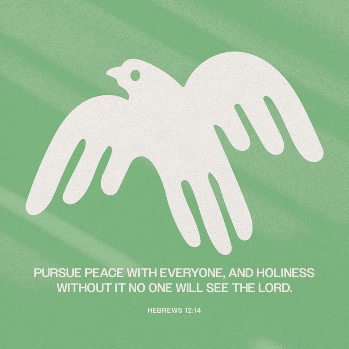 calvomacha's tweet photo. 🕊️ Live at peace — holiness shines through reconciliation.🌿 God of peace — His nature calls us to harmony.❤️ Forgive and reconcile — peace wherever possible reflects His love. https://t.co/94pKQSbR8d
