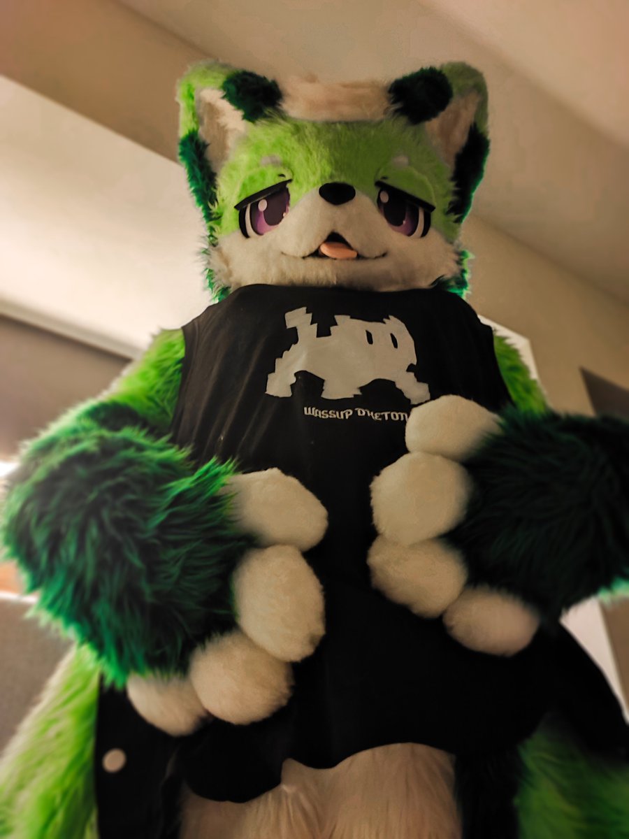 LimeDonut's tweet photo. 起床看到的第一眼如果是我，你會怎樣
📸: @Weis_Ohm 
#FursuitFriday #furmony #鸿萌造物 https://t.co/jxvkm4MeIp