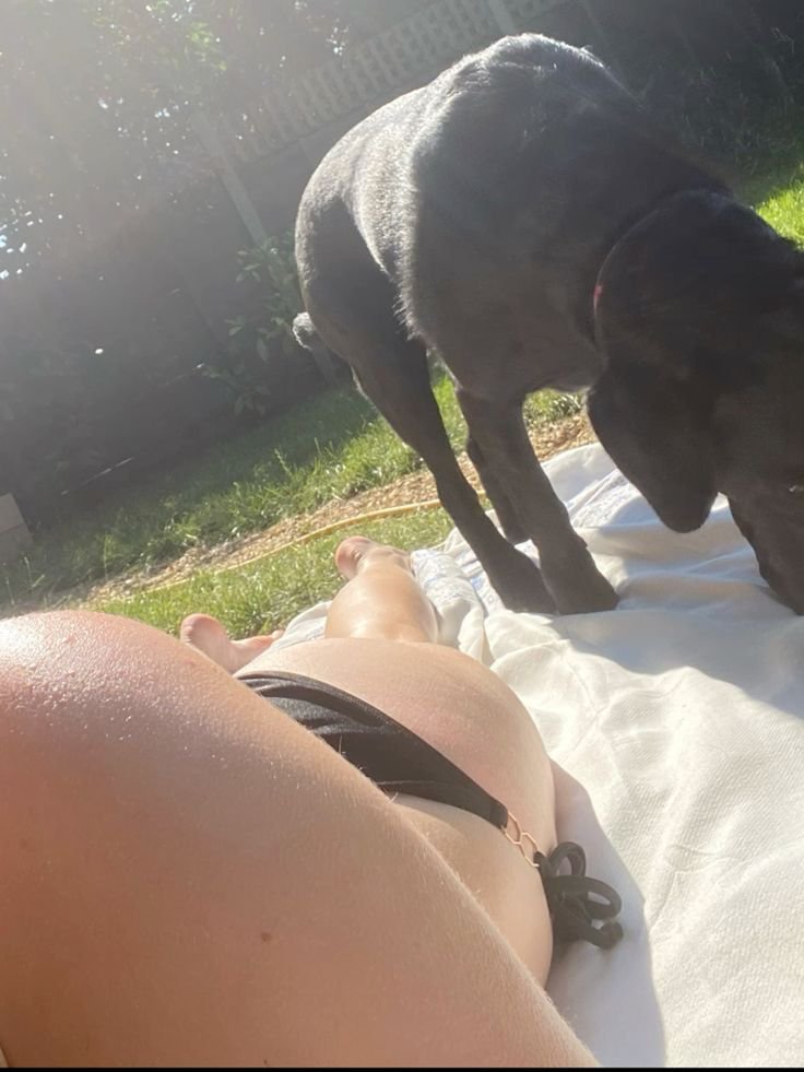 Knottskimberly0's tweet photo. My world best baby🐶,I just wanna stay pawsitive🐾😍. For top-notch contents💦, message me through my official link below
https://t.co/PuUuPGx92R
https://t.co/PuUuPGx92R

#Me #USA #Love #Blond #MadeinUSA #Zoo #Content #Selling #Zoophilia #Dogs https://t.co/bkNBCuTVlZ