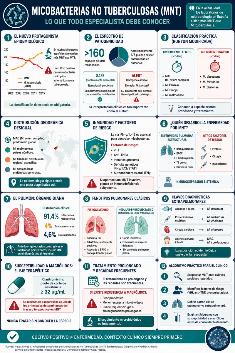 gabi_puchepalao's tweet photo. 🧵 HILO | Micobacterias No Tuberculosas (MNT): lo que todo especialista debe conocer en 12 claves clínicas 🦠🔬 https://t.co/QC2Bsx778v