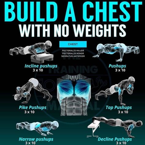 FitnessHacks101's tweet photo. Ready to build a strong chest at home? No weights, no problem! Try these pushup variations and feel the burn. Which one challenges you the most? Let’s crush it together!
#homeworkout #workout #fitness #exercise #bodyweightworkout #chestday #noexcuses #getfit #FitnessHacks101 #fitfam #wellness #motivation #athomeworkout #active #workoutchallenge #fitspo #training #transformation #gymmotivation #stayactive #upperbodyworkout #pushups #strengthtraining