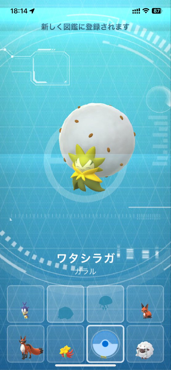 takuyaaaa112's tweet photo. ワタシラガお初です https://t.co/Mh6mOQArz2