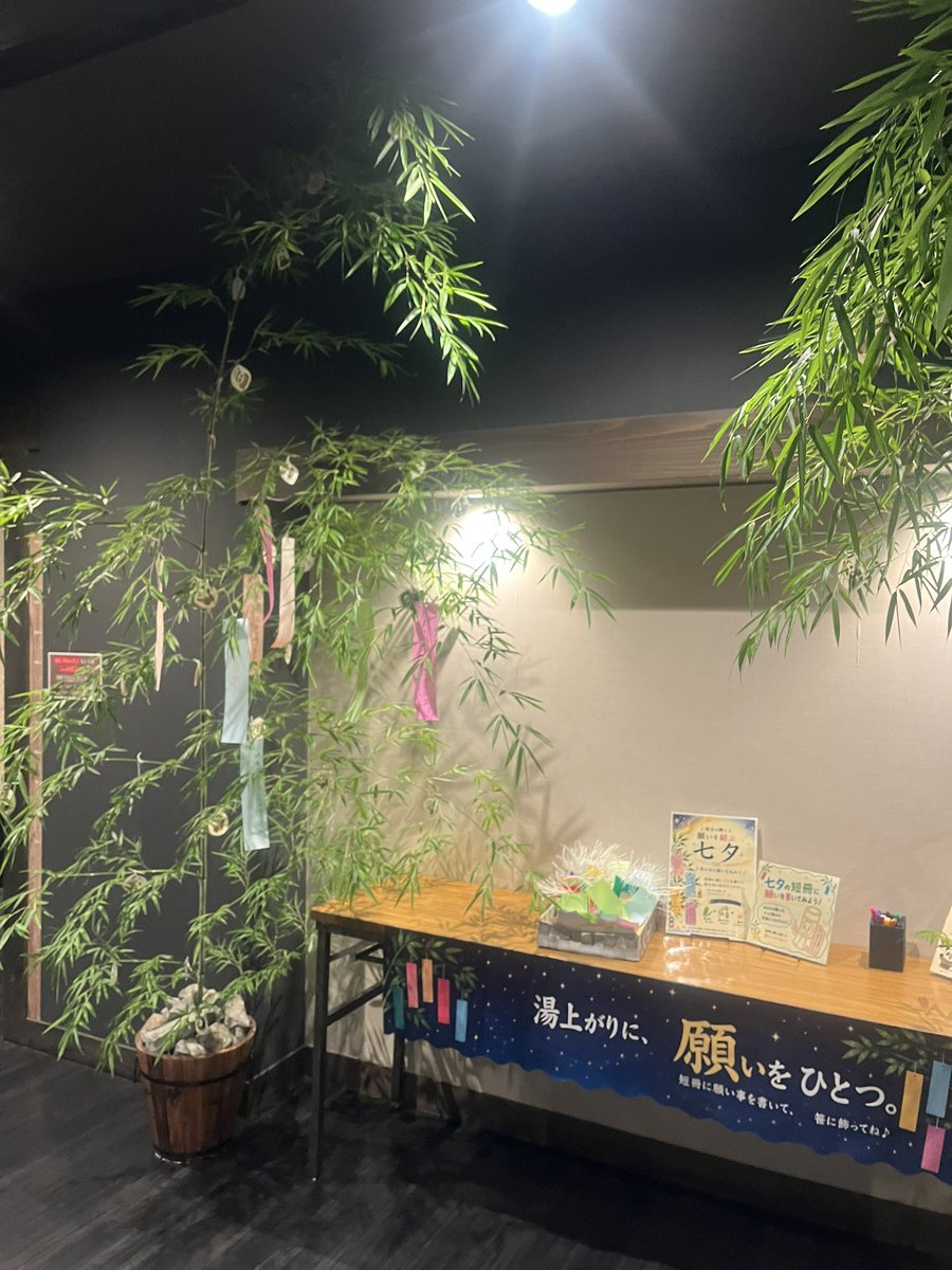 yunokistuff's tweet photo. ＼＼ 星に願いを💫 ／／

本日より玄関に笹の葉と短冊をご用意しております🌟

ぜひ願いを込めてご記入し、笹の葉に結んでくださいね😆🙌

 #七夕  #日帰り温泉  #サ活 https://t.co/0T89GqfEEf