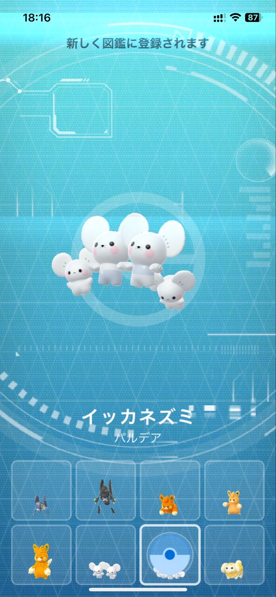 takuyaaaa112's tweet photo. イッカネズミお初です https://t.co/xzCAZrWYN5