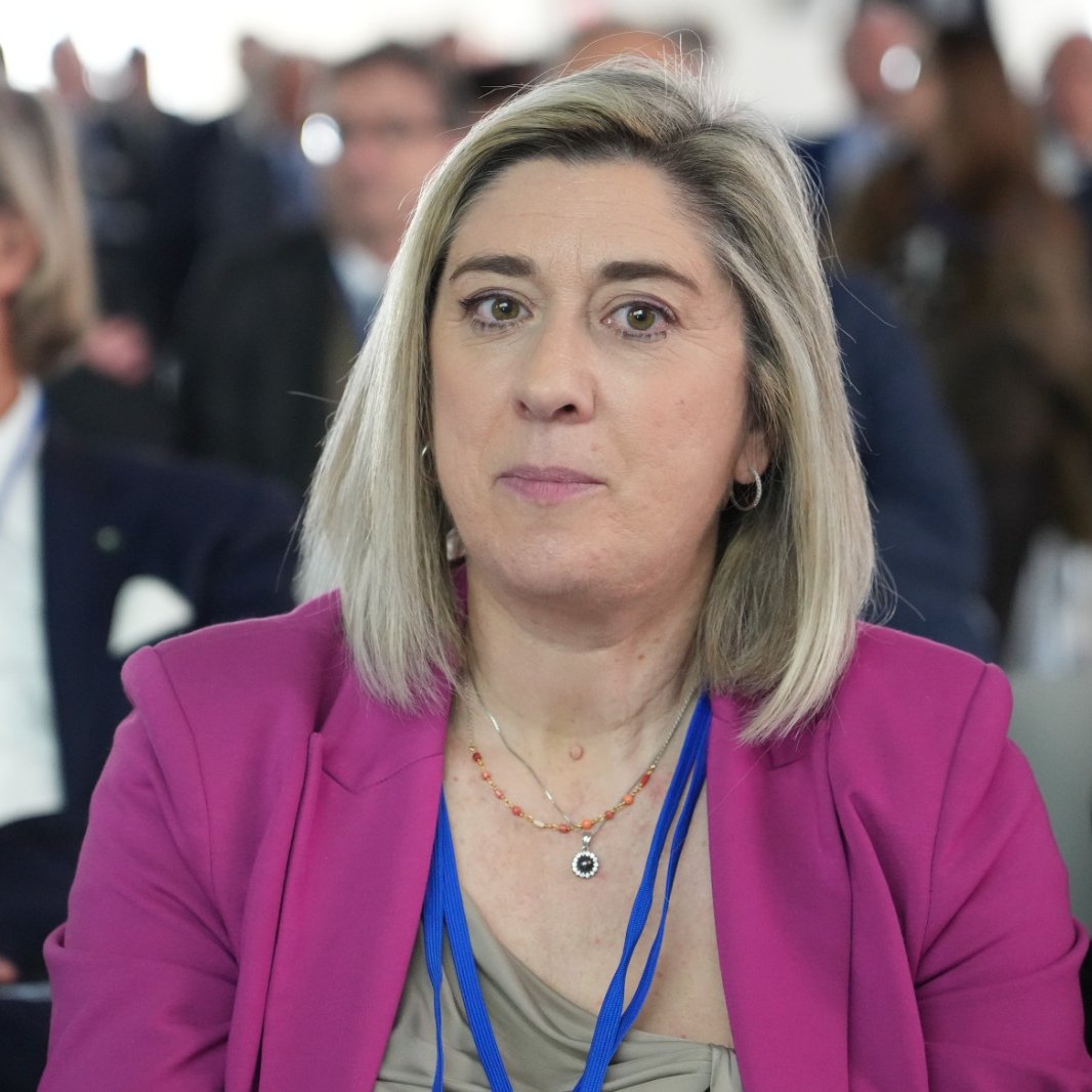 regioneFVGit's tweet photo. "#RegioneFVG continua a investire sul futuro del nuovo Campus scolastico di Gorizia, con un contributo straordinario di 3 mln al Comune per la realizzazione della nuova viabilità di accesso". Lo annuncia l'assessore Cristina Amirante.
👉https://t.co/btqABlQy2H https://t.co/wWUNxyJglD