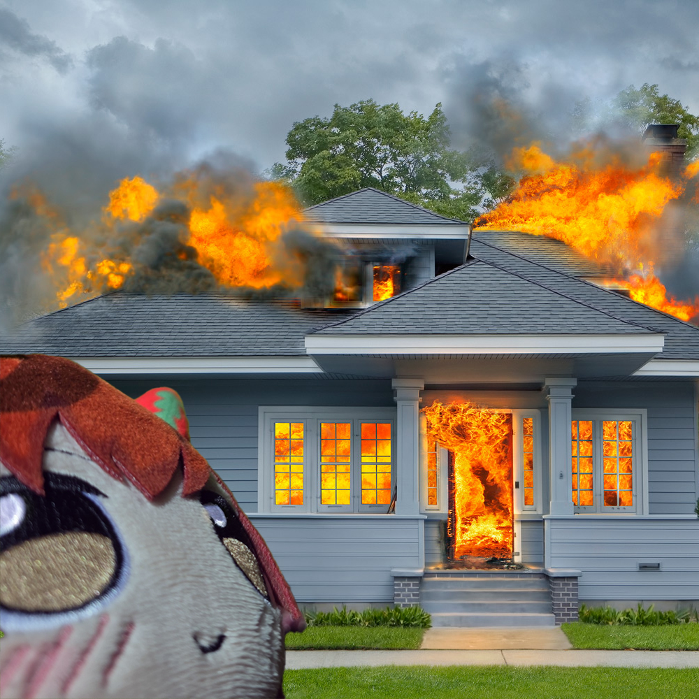 Finfran2308's tweet photo. https://t.co/OAbQVZDGu0