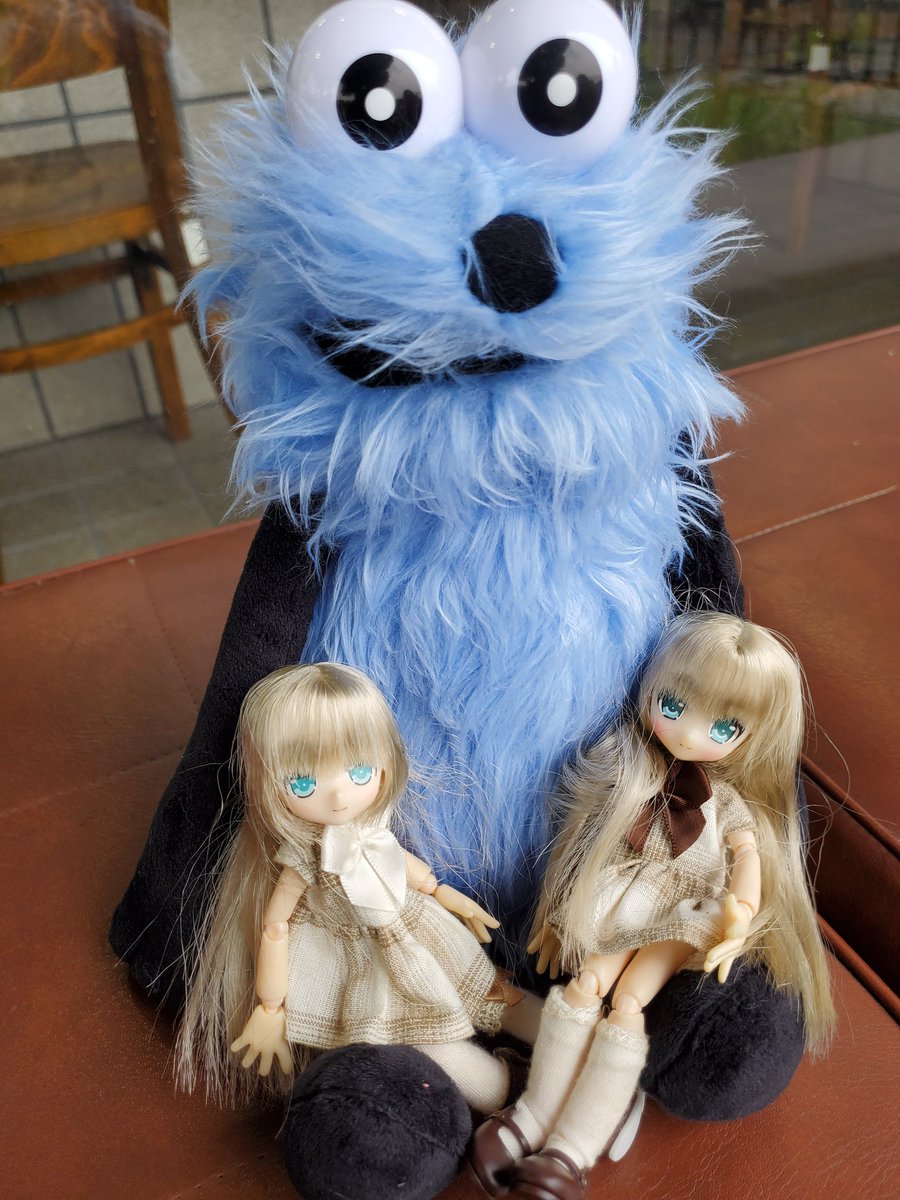 irus_Doll's tweet photo. スンスンとイルミィさん＆ヴェルさん
イルミィ「私もスンスンと仲良くなったよ❤」
ヴェル「とてもフワフワで気持ちいいわね✨」
スンスンの上でくつろいでいる2人でした(笑)
 #ドル活
 #ドールオーナーさんと繋がりたい https://t.co/uJMCqAz5sn