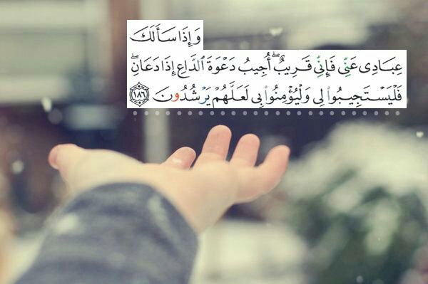 Lamar73351641's tweet photo. تأتي #الجمعة فيطوف بخاطري احبة
و يطيب وصلهم و لو بدعاء ..
اللهــم 
زدهم مكانة حين يركعون ؛
و زدهم محبة حين يرفعون ؛
و زدهم إخلاصاً حين يسجدون ؛
و زدهم توفيقآ في ما يصنعون ؛
و لا تحرمهم رحمتك في هذا اليوم العظيم..🌸

*صباح_الخير* 
*جمعة_مباركة* https://t.co/lqS8hCeF1p