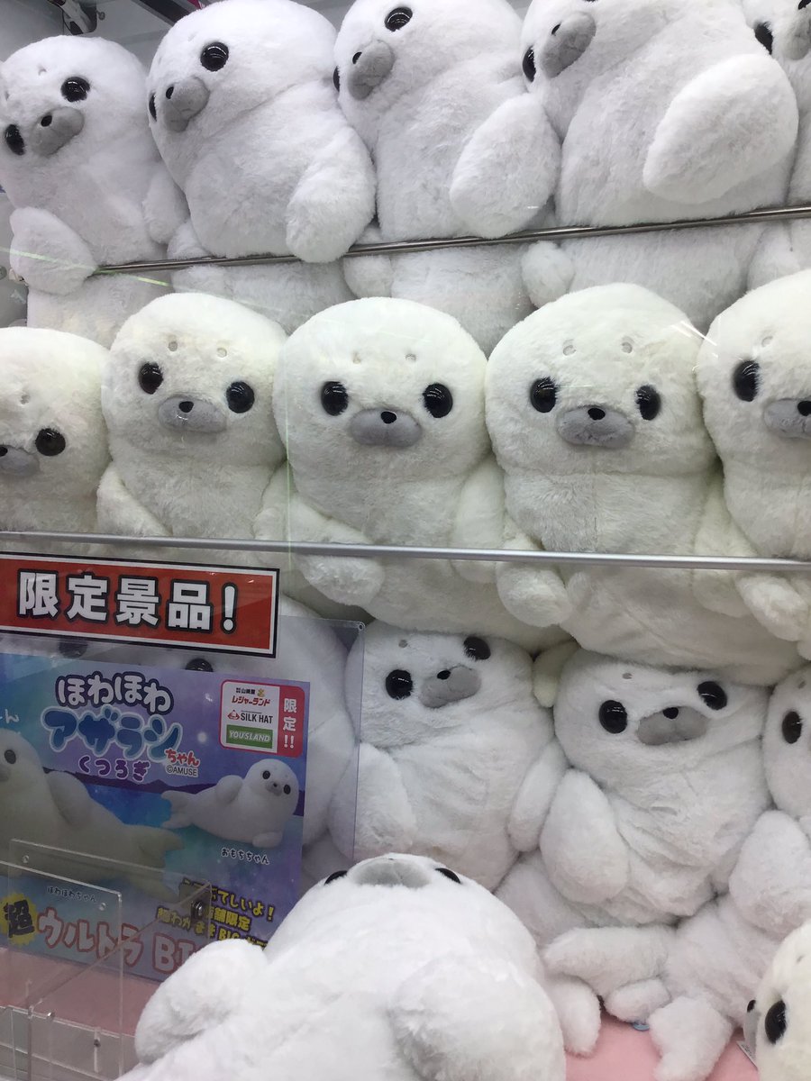 ✨新景品情報✨ 本日より『ほわほわアザラシちゃんくつろぎ 超ウルトラ