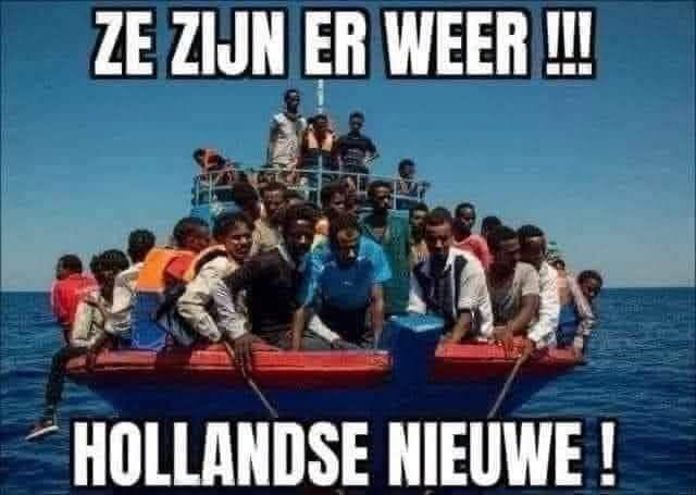 CILinvestor's tweet photo. Wat wensen jullie?

A = Terugsturen  😅
B = Zinken  😮
C = Welkom in Nederland  🤔 https://t.co/L2ZptlcMlP