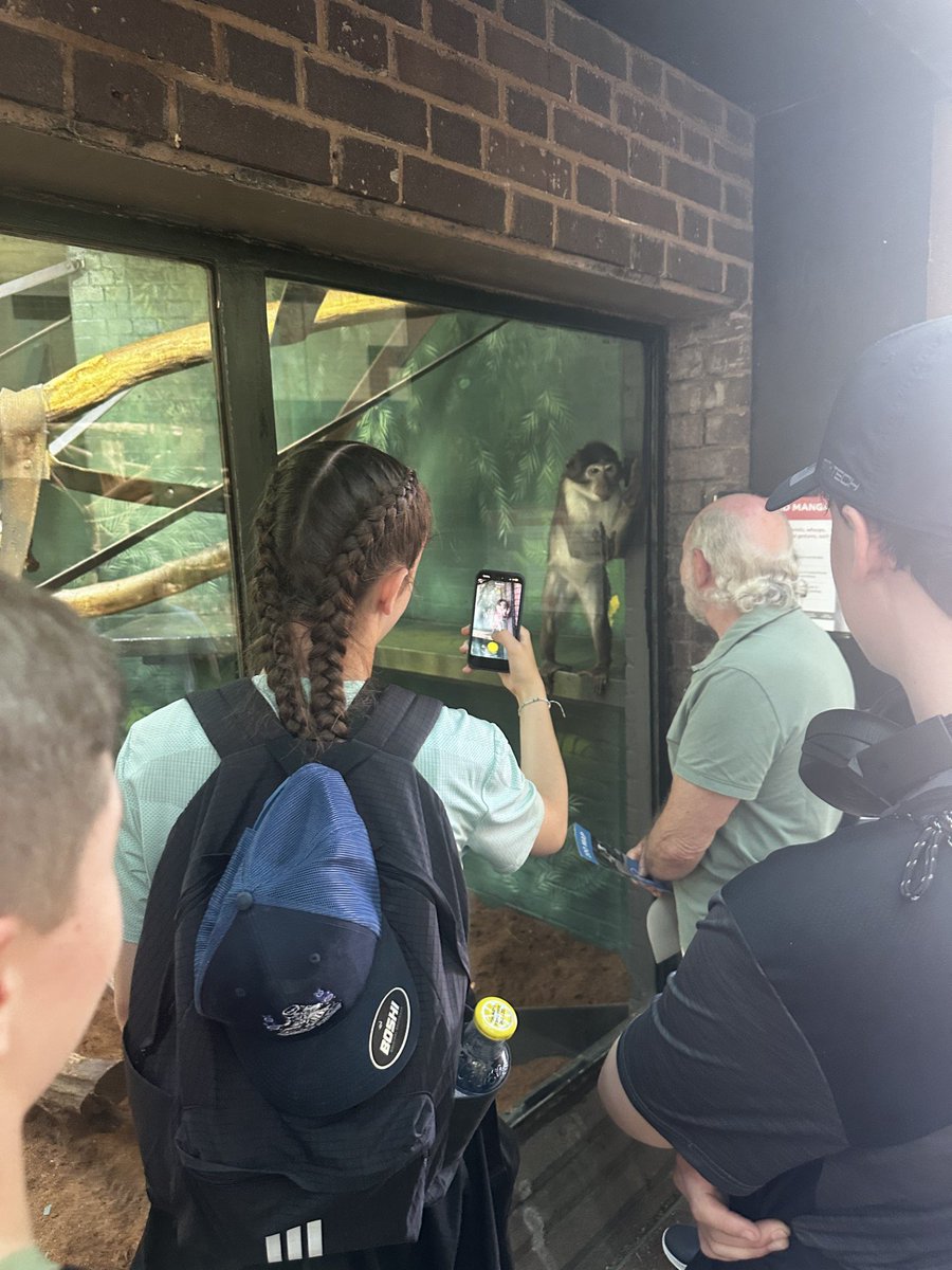 EvertonSchool's tweet photo. Our staff and students enjoyed a lovely last day @zsllondonzoo https://t.co/roC0MaXJzL