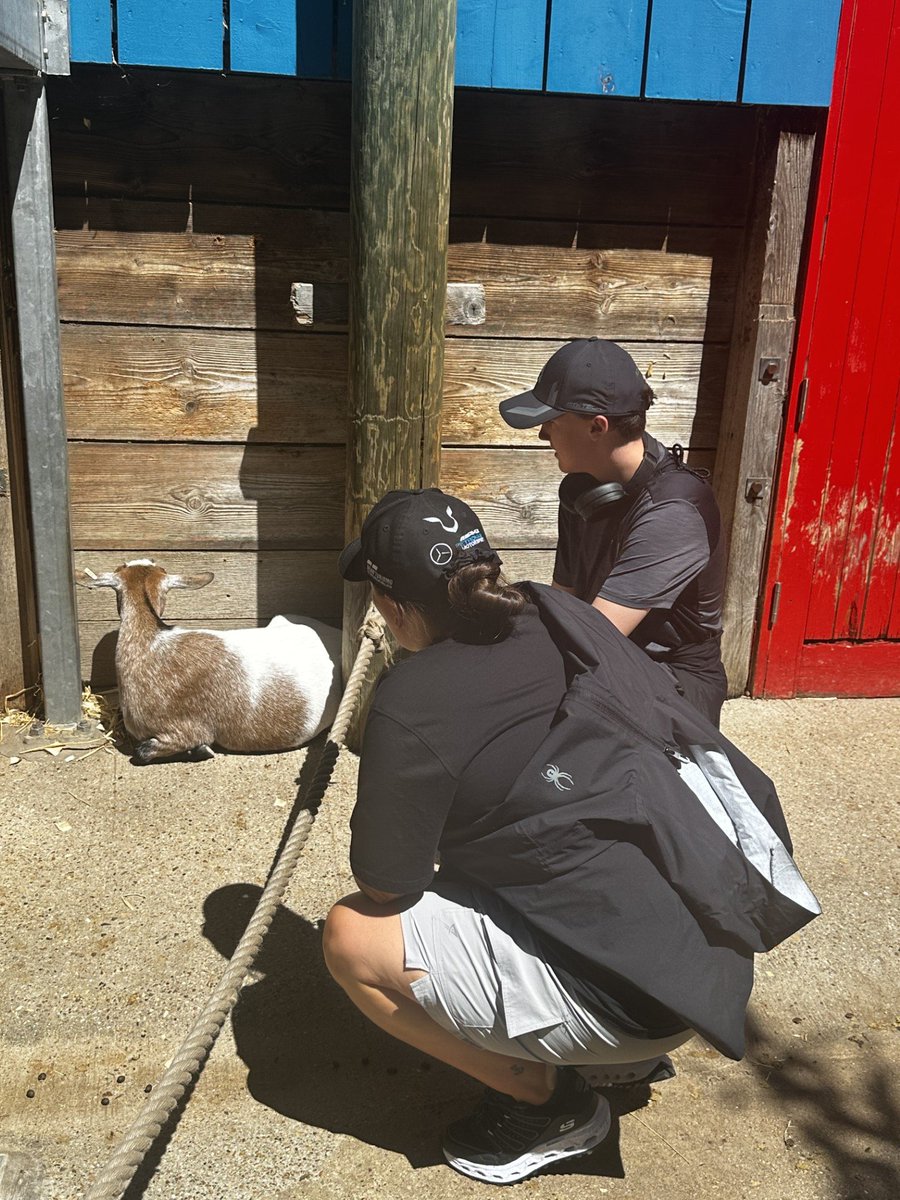 EvertonSchool's tweet photo. Our staff and students enjoyed a lovely last day @zsllondonzoo https://t.co/roC0MaXJzL