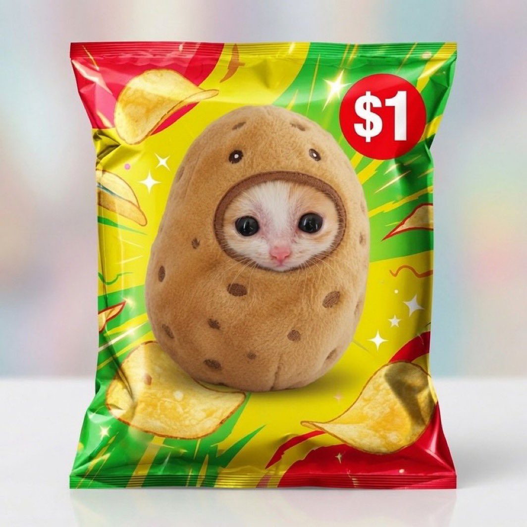 AllenMadeItBack's tweet photo. @eth_exy $Potato https://t.co/SBLroAlHLi