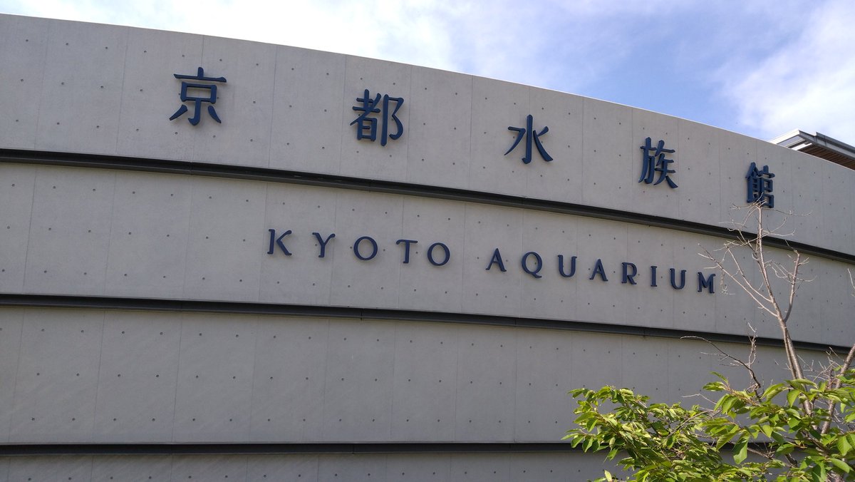 tw_nasuka's tweet photo. 父と祖父の法事が終わって
京都駅付近を散策
京都水族館に🐬🐧
・・・京都とは？ https://t.co/2btQvem1DO