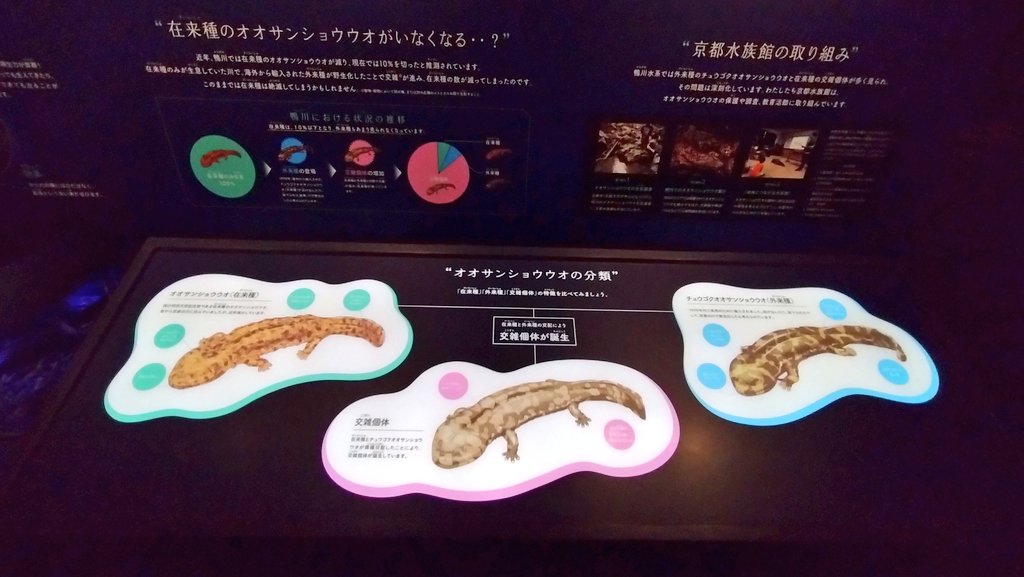 tw_nasuka's tweet photo. 父と祖父の法事が終わって
京都駅付近を散策
京都水族館に🐬🐧
・・・京都とは？ https://t.co/2btQvem1DO