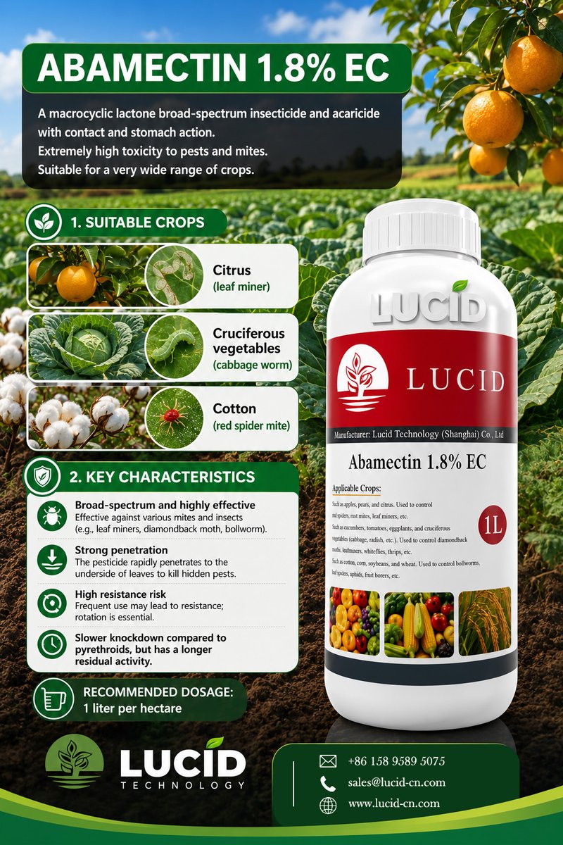 LucidAgriTech's tweet photo. Abamectin EC: Liquid "pest eviction notice." Red mites, leaf miners, diamondback moths – after spraying, they all "resign." Remember: spray the UNDERSIDE – that's where they "live rent-free."  #Vegetables #PestManagement #Rotation #Agriculture https://t.co/EDYWMQw51W