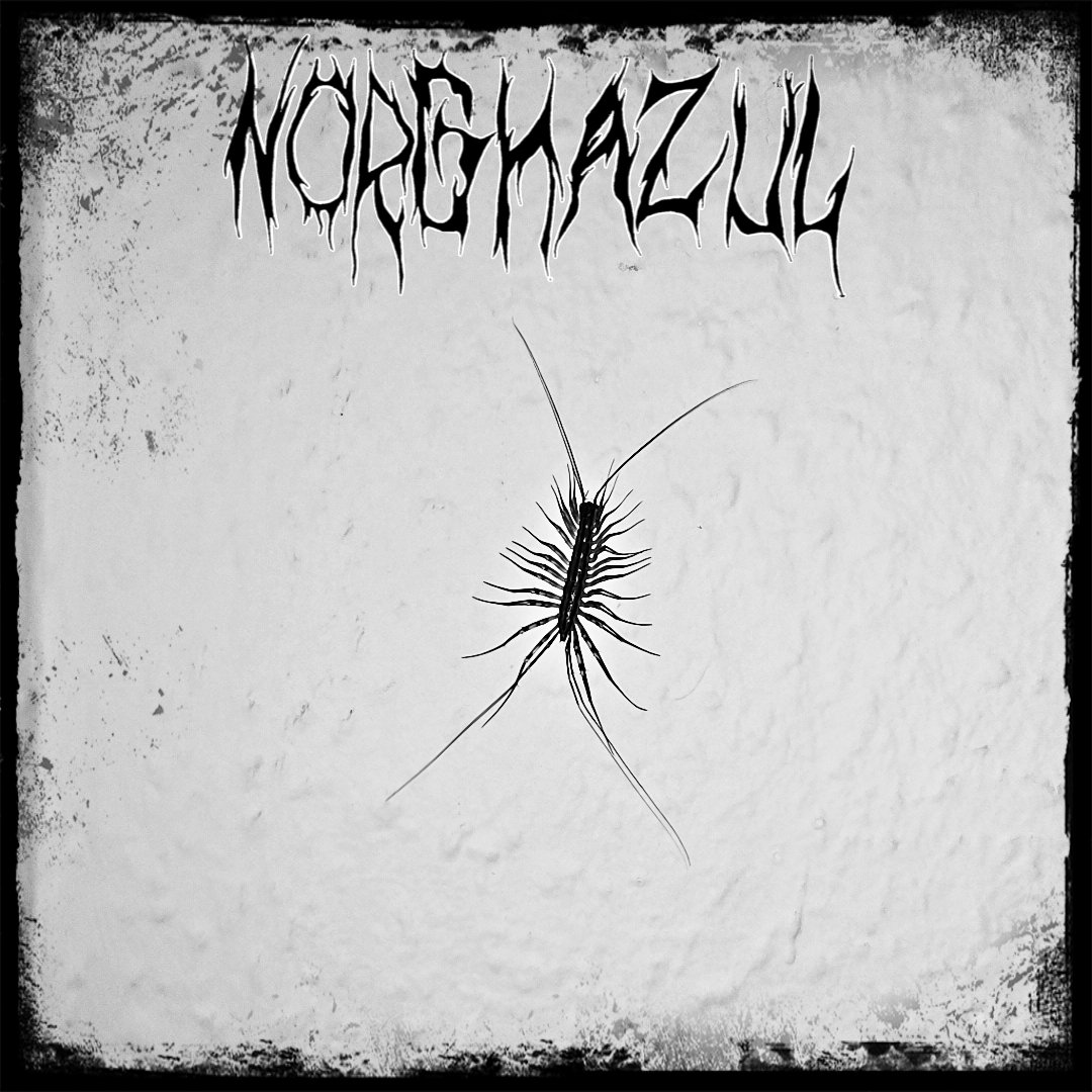 Norghazul's tweet photo. Norghazul first EP cover remodel 🔥#band #ep #metalhead #metal #cover https://t.co/moKGDf8sJS
