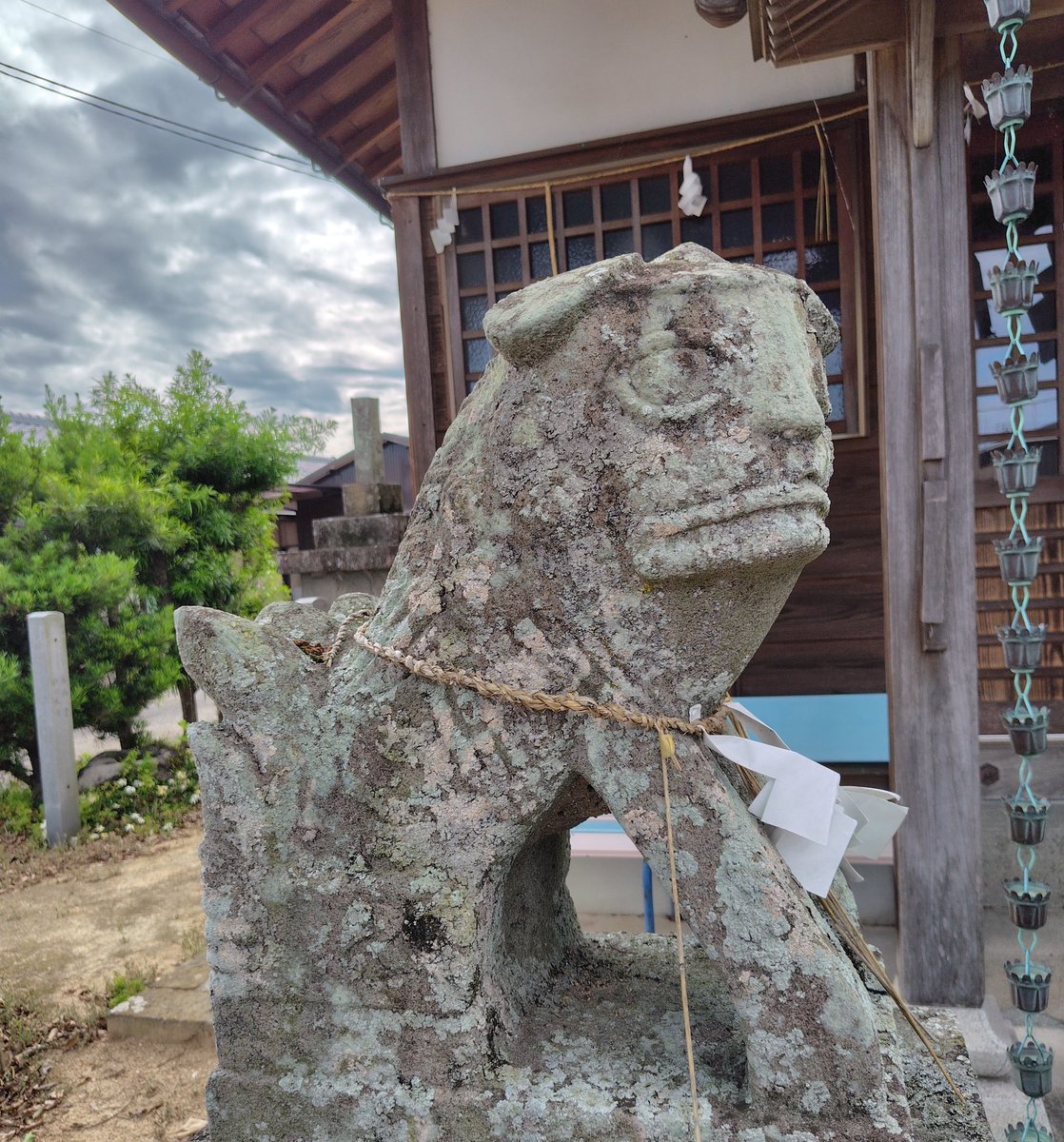 agetaTe_mameTen's tweet photo. 道祖神社の狛犬

ちょっと信じられぬフェイスをしている
＃香川県の狛犬 ＃道祖神社 
＃東山崎町 ＃狛犬 https://t.co/5qZGbfyGoA