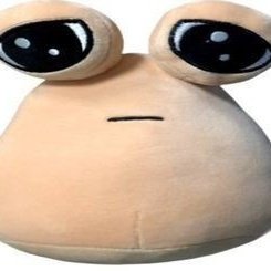 uchinagachan's tweet photo. fala sério tem foto de um pintinho de casaquinho tô muito mal https://t.co/u0ZHUUXIpQ