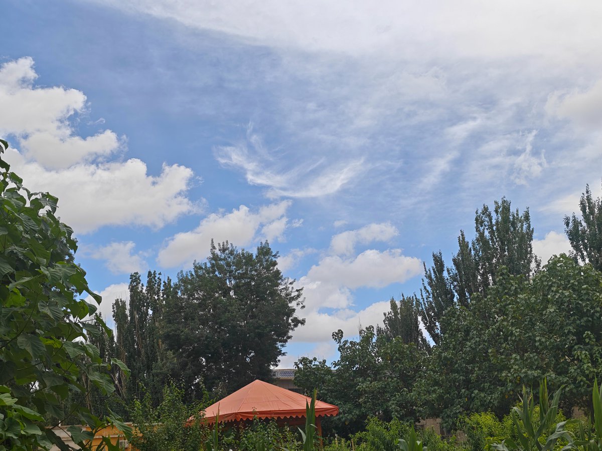 dbdx0c's tweet photo. Lovely sunny day here. What’s the weather like on your side?
这边天气晴好，想问问大家那里的天气如何？
#Hotan#Xinjiang https://t.co/83Xga4xCKE