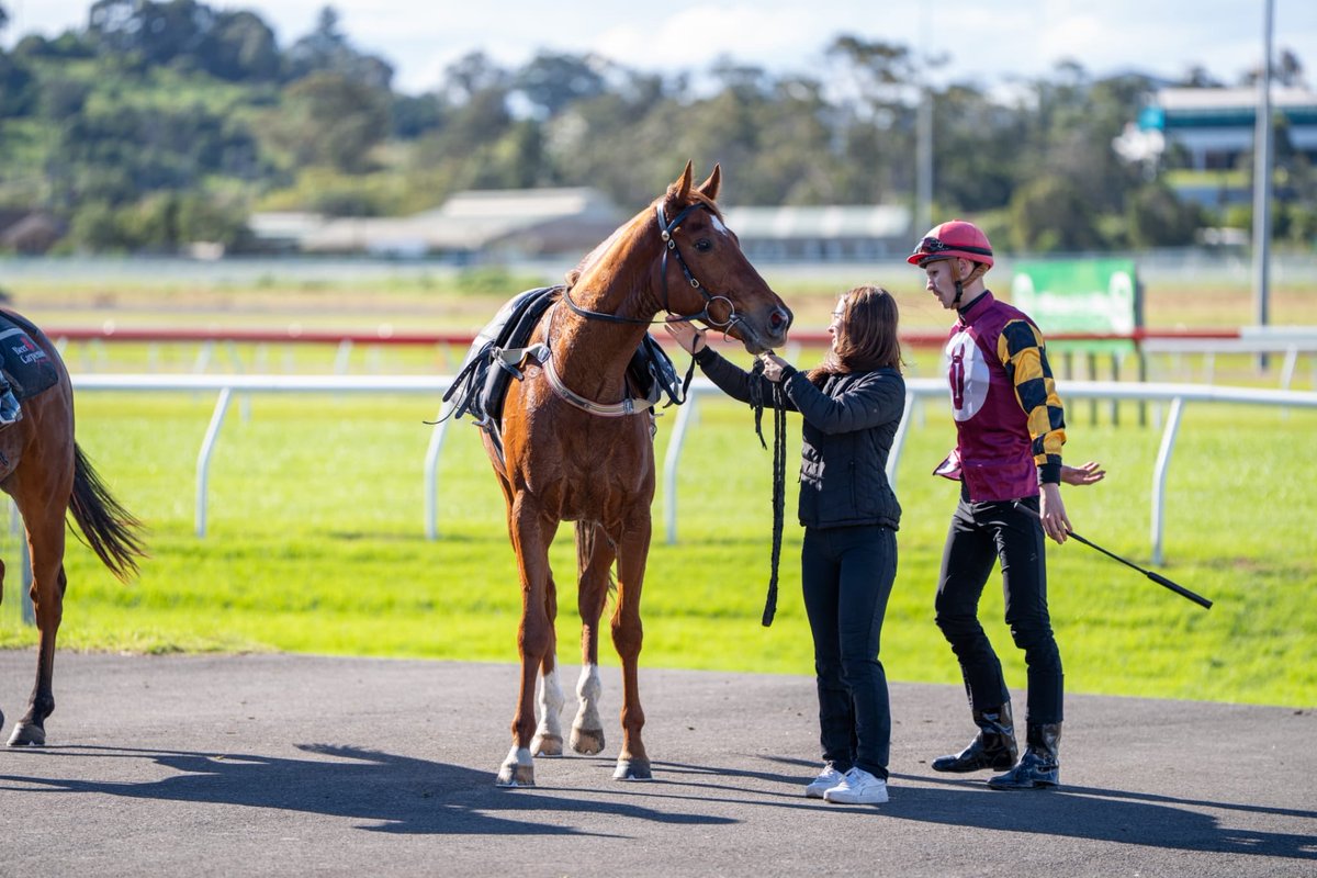 IbleRacing1's tweet photo. Kembla Grange jumpouts with Argantorati, Silver Summit and our King's Legacy x Sharpest youngster.

The team is building toward a very busy period.

📸 Fos Media https://t.co/AvdXLUTZMg