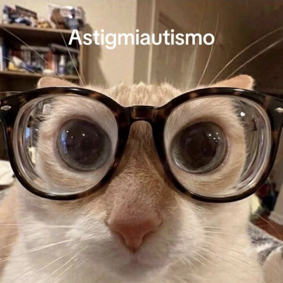 cat_postin's tweet photo. https://t.co/ruT0AbArcC