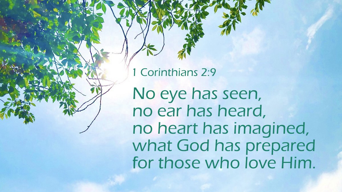 bible_line's tweet photo. No eye has seen, no ear has heard, no heart has imagined, what God has prepared for those who love Him. (1 Cor. 2:9)

人が、
これまで見聞きしたことも、
想像したこともないほど
すばらしいことを、
神は、
ご自分を愛する人々のために
用意してくださった。

1コリント2:9
リビングバイブル https://t.co/GagbMTDCfV