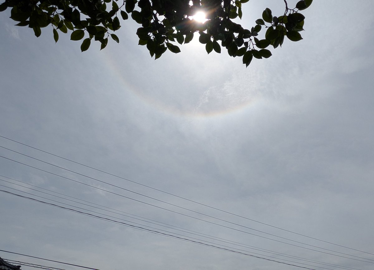 araseesaw's tweet photo. 6/25の大気光象
①たまたま目が覚めた時に朝焼け ②10:53 ③11:02 ④13:40
環水平アークは…あるかどうかはっきりしない。
 #halo_jp https://t.co/hoi49NywDZ