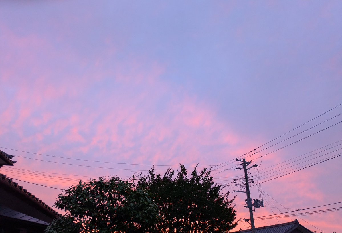araseesaw's tweet photo. 6/25の大気光象
①たまたま目が覚めた時に朝焼け ②10:53 ③11:02 ④13:40
環水平アークは…あるかどうかはっきりしない。
 #halo_jp https://t.co/hoi49NywDZ