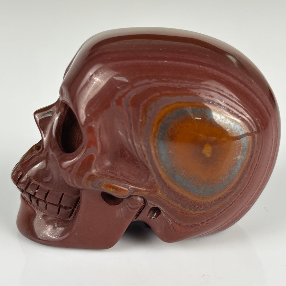 Arcane_skull's tweet photo. 2 Inch Tiger Iron Crystal Skull – Mini Crystal Skull
Link:https://t.co/ykNzsyn3Ki
#ArcaneSkull #TigerIron #TigersEye #Hematite #RedJasper #CrystalSkull #GemstoneSkull #2InchSkull #MiniSkull #HandCarved #SingleSpecimen #WYSIWYG #NoPotLuck #GothicHomeDecor https://t.co/pBfnOW46RS