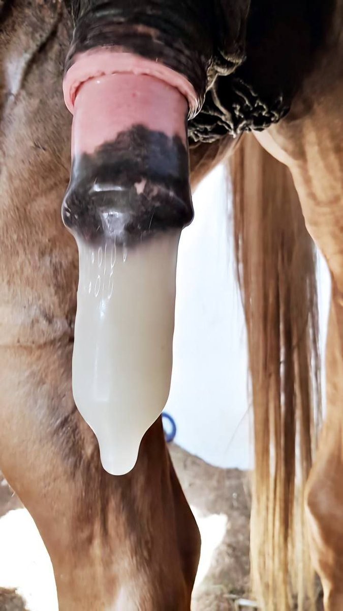 Mitchelldria's tweet photo. Weekend Vibes Zoo lovers🐶🥰
Join My Exclusive Canine Circle 👇
https://t.co/Erf3K5rzwh 

#zoosarevalid #beastiality #dogknot #zooprideisvalid #zoophile #antizoo #antizoophileantizoo #k9girl #zoopride
#zoophilepride #zoopositivity #Bestiality #hypnotistsappho https://t.co/BvvBEgUMRN