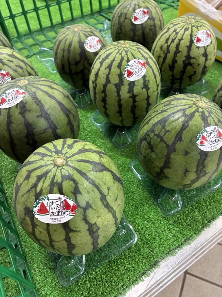 fruit_park's tweet photo. 4日、5日の朝市情報です😊
桃🍑1パック400円〜、
小玉スイカ🍉1玉700円、
椎茸1袋200円、人参🥕1袋100円、玉ねぎ1袋150円、ジャガイモ1袋150円と
お買い得です💁‍♀️
桃🍑早い数に限りがありますので、お早めにご来店ください🙇‍♂️
#東谷山フルーツパーク #お買い得 #朝市 https://t.co/4dJeIKC1GE