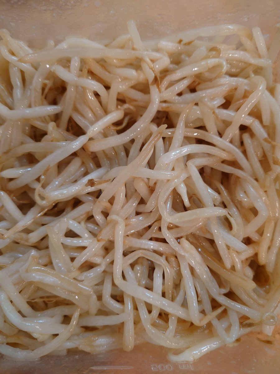 Timothy9576's tweet photo. 作り置きおかず https://t.co/RCJaS3NROP