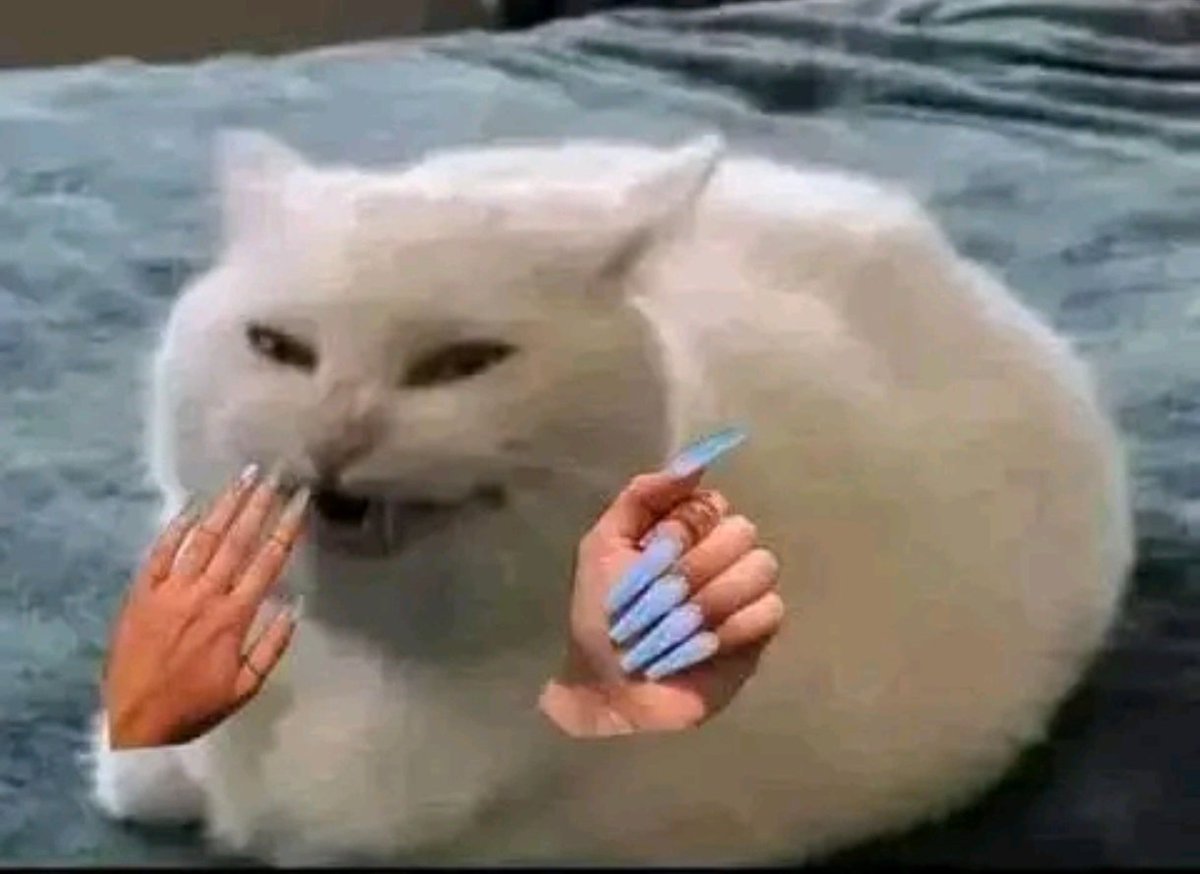 PatasDeGato2's tweet photo. @InkaProduction @SaraTaylor077 Jajajaja se ve tan mal hecho que hasta me saco carcajadas a las 3 de la mañana https://t.co/EecQMpyUjp