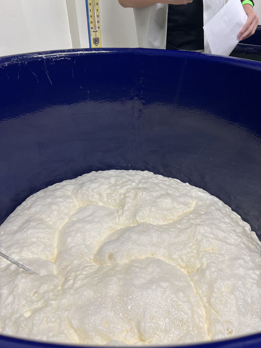 toko_1597's tweet photo. 【小嶋総本店・東光の酒蔵も参加します🍶】

第4回 360°よねざわオープンファクトリー開催！
2026年9月10日(木)〜13日(日)
酒蔵見学、限定酒の試飲・販売、クイズラリー、利き当てチャレンジ、オリジナルラベル作りなど
詳細はこちら
https://t.co/glp3PumMin

#360よねざわオープンファクトリー https://t.co/ZfmHHG66RA