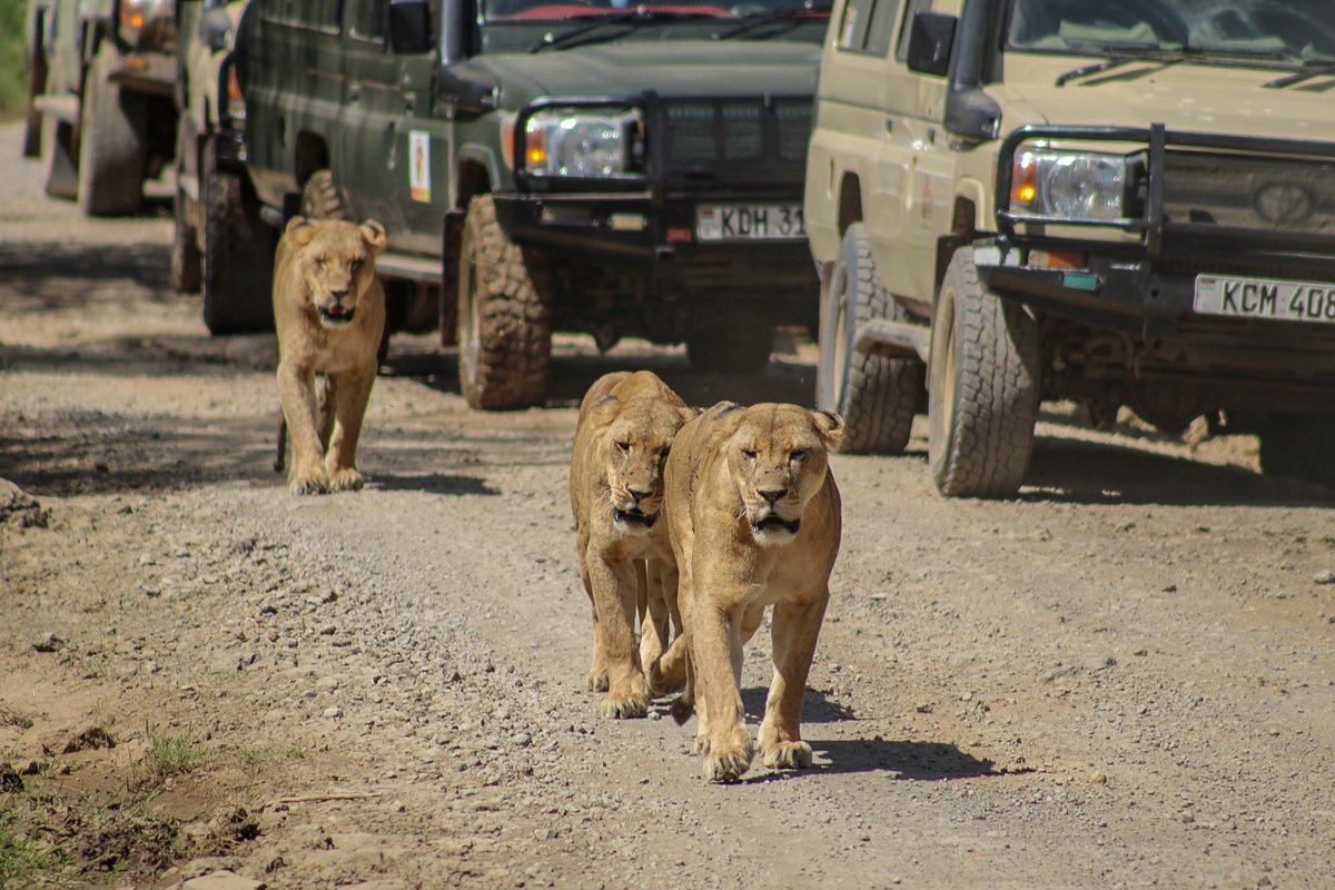 Sentrim_Hotels tweet picture