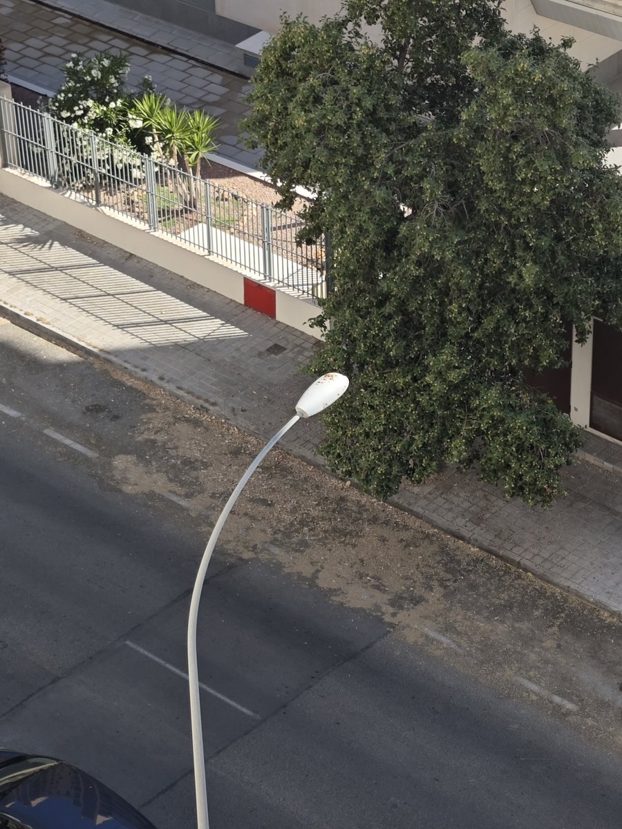 Maria1949bg's tweet photo. La calle Torero Fco Espla en el PAU 5, NO  SE LIMPIA NUNCA. Es una vergüenza. Ruego resuelvan. https://t.co/PRPii4ISYJ