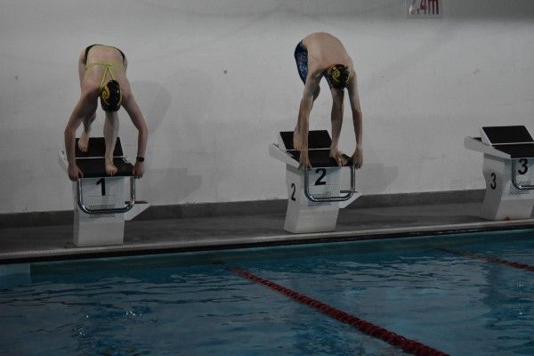 LivingMagazines's tweet photo. On Sunday 5 July, Tring Swimming Club is running a long distance event with swimmers taking part in 400m, 800m and 1,500m events, its first using the new starting blocks purchased after a huge fundraising effort > https://t.co/lD6ySyN2zY #Tring #Swimming #Sport @TringSwimClub https://t.co/4fOAj2LWAL