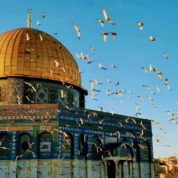 aysefg34's tweet photo. Rahmân ve Rahîm olan Allah'ın adıyla. 

Asra yemin ederim ki, insan gerçekten ziyandadır.

Asr Sûresi, 1-2 https://t.co/nP6Ri7KKo4