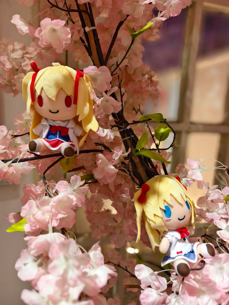 chenhuanJerry's tweet photo. 桜の木に乗ってるFAVOぬい、めちゃくちゃ可愛いね🌸
春になったら本物の桜の木で写真撮りたいな ˶>ᗜ<˶~
#FAVOぬい https://t.co/fyjXYY0m2I