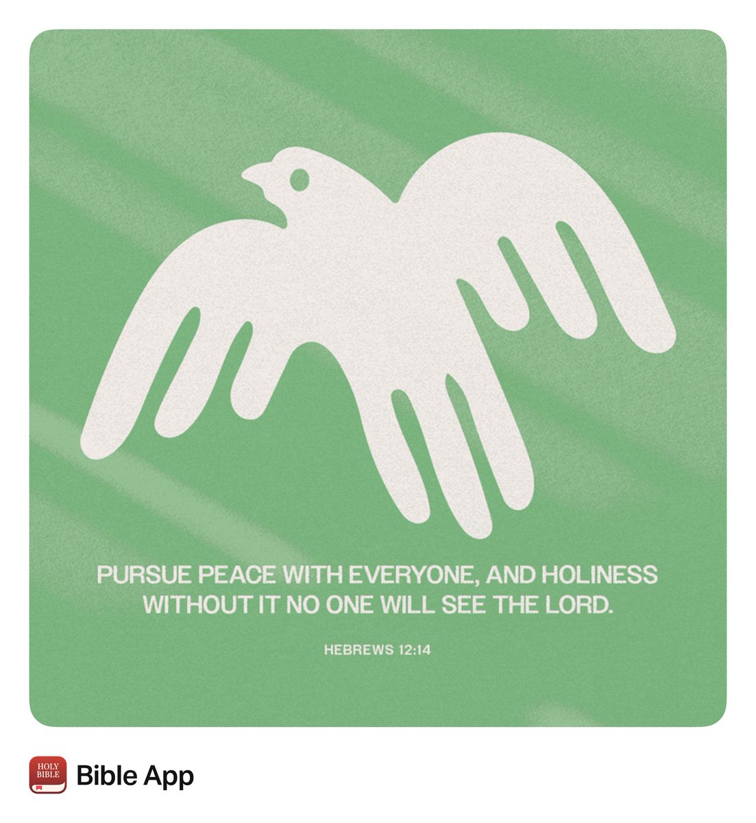 MrsWilson_12's tweet photo. “Follow peace with all men, and holiness, without which no man shall see the Lord:”
Hebrews 12:14 KJV
https://t.co/tR7VTL9Wt4 https://t.co/75FZTBNevN