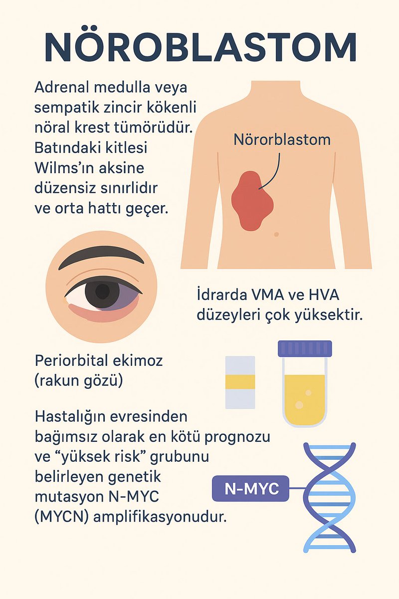 tusai_app's tweet photo. Tüm spot bilgiler için:
https://t.co/OCfRS42tNT https://t.co/5ff01oKyPM