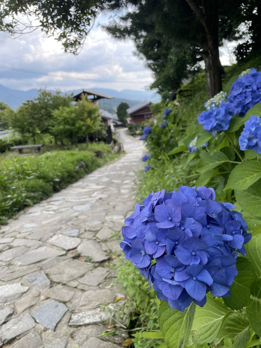 ore_stroker's tweet photo. 馬籠宿に来た。
外人ばかりで異世界に来た感じ🙄 https://t.co/M8gbxELpzY