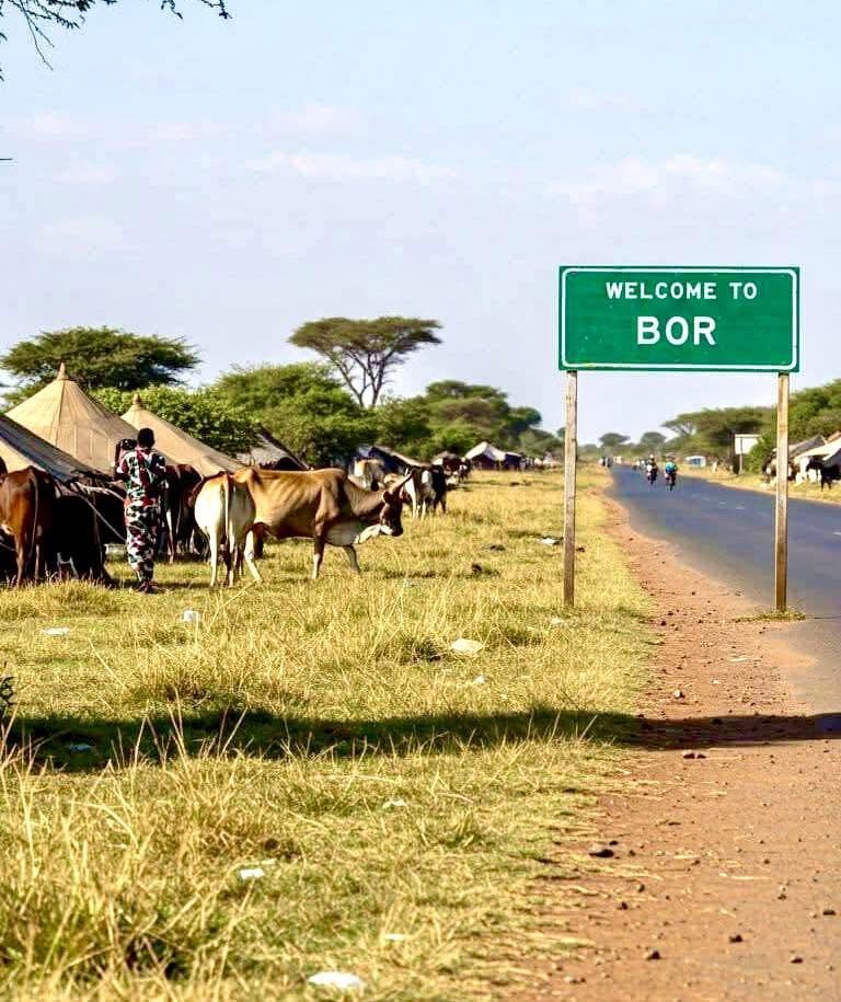 choljoey's tweet photo. Imagine, with how well-planned #Bor town is, if only there were peace in Jonglei state? https://t.co/kugWNP1Bbo