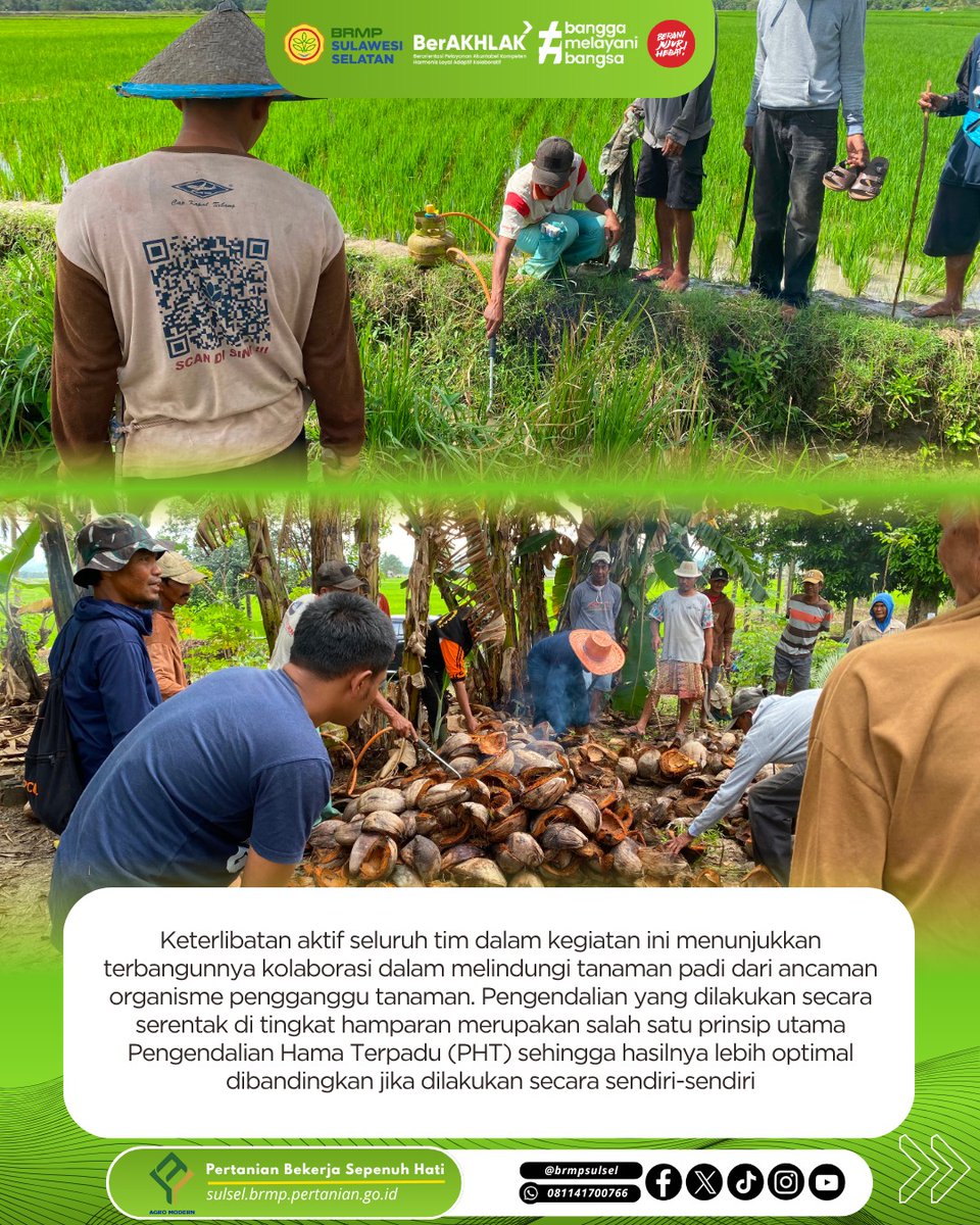 brmpsulsel's tweet photo. Gerdal Serentak Hama Tikus di Lokasi PM-AAS Bone, Sinergi Berbagai Pihak Lindungi Pertanaman Padi
https://t.co/G9d26HQps6 https://t.co/DVVm8aGSkt