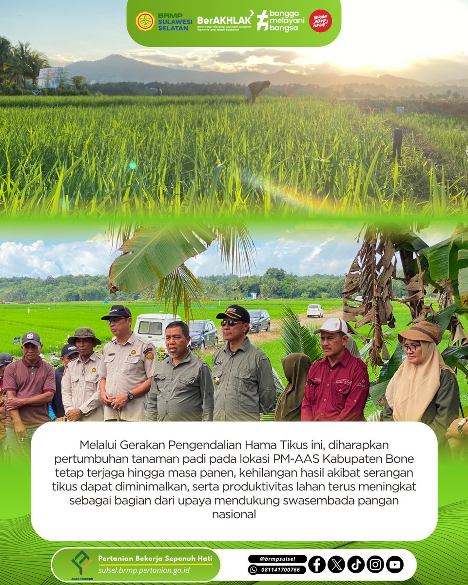brmpsulsel's tweet photo. Gerdal Serentak Hama Tikus di Lokasi PM-AAS Bone, Sinergi Berbagai Pihak Lindungi Pertanaman Padi
https://t.co/G9d26HQps6 https://t.co/DVVm8aGSkt